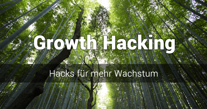 Was ist Growth Hacking? Der ultimative Leitfaden, wie du zum Growth Hacker wirst