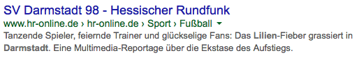 google-darmstadt-lilien-hr