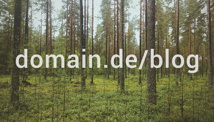 subdomain-oder-verzeichnis