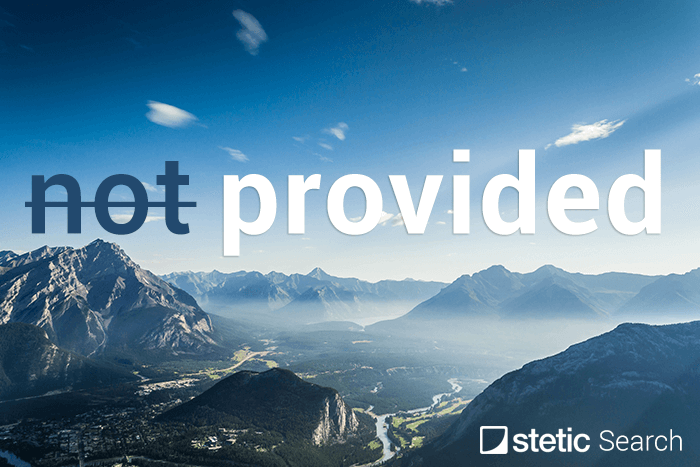 stetic-search-blog-teaser